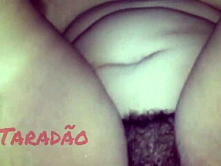 Complete encounter with my companion