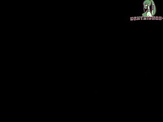 x roulette 2 doggy on table