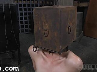 Just watched some wild sadomasochism action in pov style