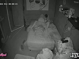 lujuria reed gets oral from an argentinian prostitute on security cam