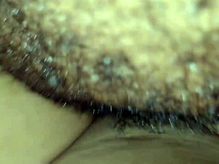 Ever dreamed of interracial pornstar pussy sucking?