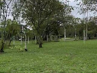 Reunion With Thalia In Public