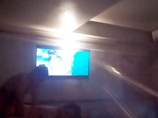 Exploring hotels in Mexico for a fun getaway