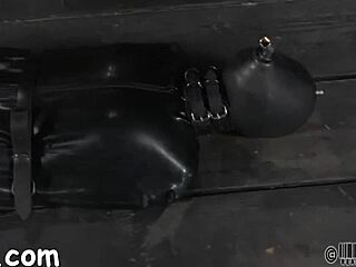 Raw Hardcore Fucking Action Unleashed