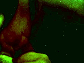 Italian Redhead Anna Varentino Swallows Cum In Hot Room Scene Number 18