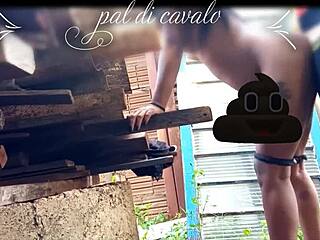 At My Friend’s Anniversary, I Banged His Hot Chick in the Backyard, Wild Stuff