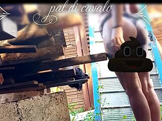 At My Friend’s Anniversary, I Banged His Hot Chick in the Backyard, Wild Stuff