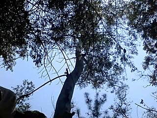 Gay Amateur Sucks And Fucks Mexican Cock In Public Anal Sex