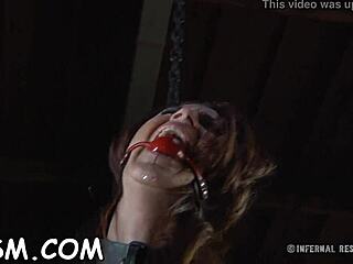 Gal gets her anal prodded with toy drilling on her clits