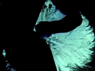 vintage homosexual pleasure