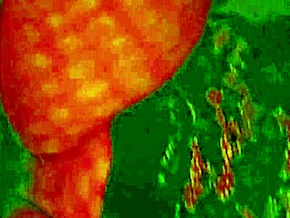 Angelg And Kuzz In Halloween Special Part 2