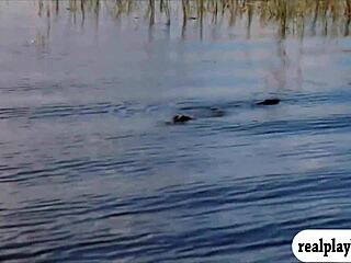 Lovely Babes in Bikinis Visit Outdoor Public Area with Big Tits