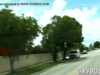 damn! two gay lads sucking cock and banging hard in wild action right now!