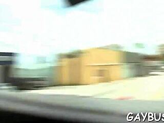 damn! two gay lads sucking cock and banging hard in wild action right now!