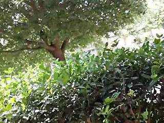 playing with my horny pussy 😏