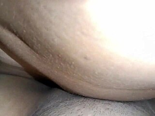 The Traveler Hired The Wrong Tour Guide By Mistake