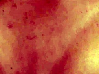 Curvy Latina BBW Fucks Secretly With Husband Nearby