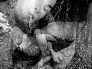 Vintage Illustration Art