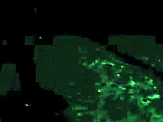 Vintage Erotic Drawings Showcase Retro Anime Style