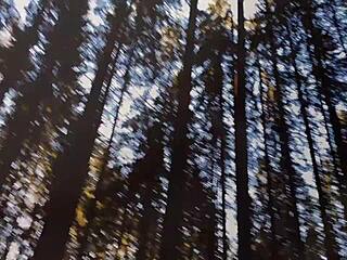 Dive Deep into Wonderland with Outdoor Couple Blowjob Fun