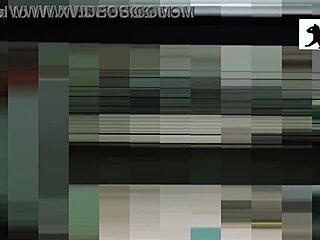 The Neighbor Is In Action Right Now!