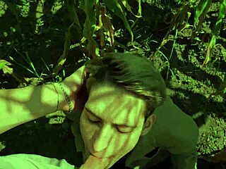 Helping a friend in the cornfield