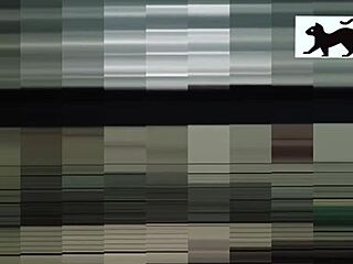 The Neighbor Is In Action Right Now!