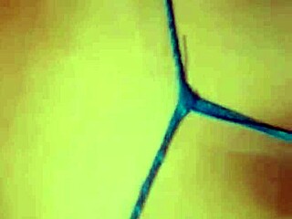 Mature latina enjoys fucking with thong and clitoris sucking