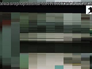 The Neighbor Is In Action Right Now!