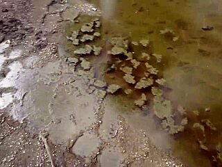 just watching her dominate as a goddess, making him drink from the puddle, wild stuff.