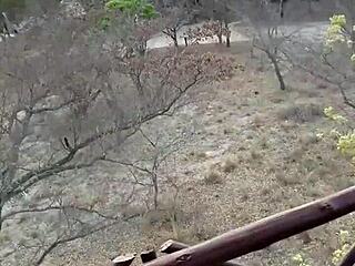 angel emily was out on a safari, and things got wild with outdoor anal sex