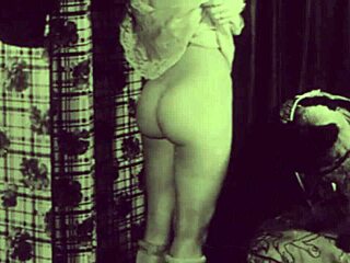 Vintage animalation from retro hentai cartoon series