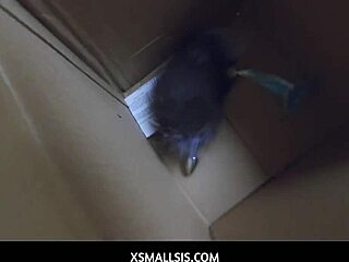 Ashley Adams takes stepbro deep in her tight ass