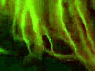 Wow, 50 Tons Of DNA In The Motel!