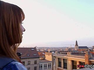 Classy Maid Anally Fucked on All Fours in Interracial POV Action