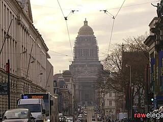 Classy Maid Anally Fucked on All Fours in Interracial POV Action