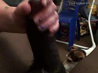 loopy lou is giving an incredible blow job to amateurs right now