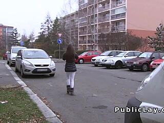 Dude, will you pay these babes for flashing and wild fucking?