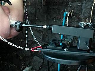 Anime Hentai Babe Trapped in Wild Sex Machine Action