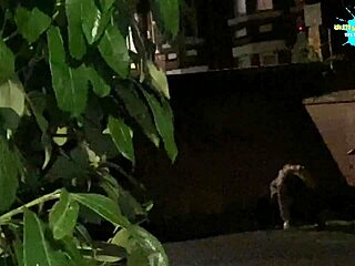 cracky in her natural habitat outdoors