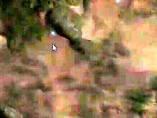 Is treasure of nadia part 1 full of sex?