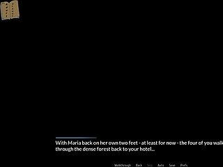 harem hotel 316 game adventure