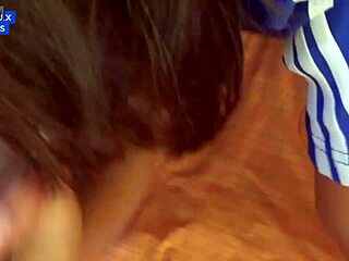 Interviewing Brunette In Profile On My Network.