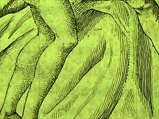 एंटीक रेट्रो कार्टून्स के विंटेज कामुक चित्र