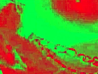 Caroleta Roots' Big Ass Anal Fuck Leading To Intense Cumshot