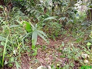 Hey, Want to See Me Taste This Fat Ebony Pussy in Bed Tonight?