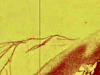 check out these vintage erotic drawings?