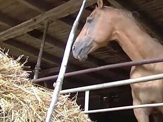 Elke introduces herself with double penetration in barn mess