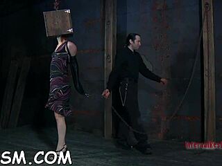 watch as pleasure is inflicted on a babe's tight slit during a wild contest.