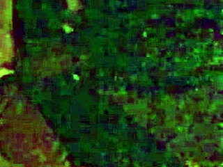 Woke up horny, craving wild redhead blowjob and rimjob action